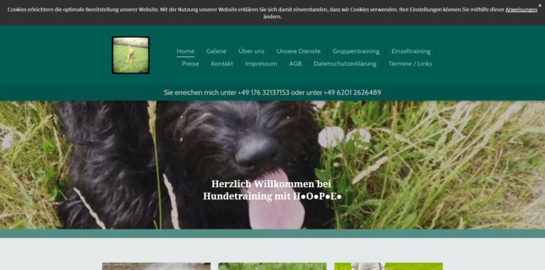 hundetrainingmithope.de 768x381