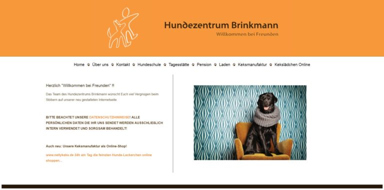 hundezentrum brinkmann.de 768x381