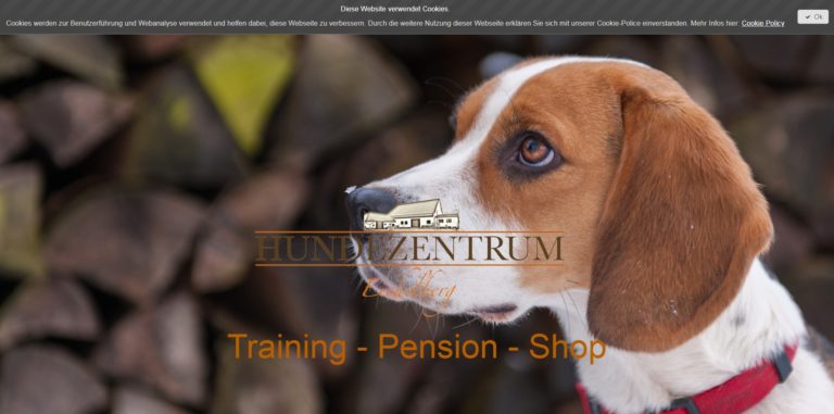 hundezentrum eichelberg.de 768x381