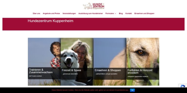 hundezentrum kuppenheim.de  768x381