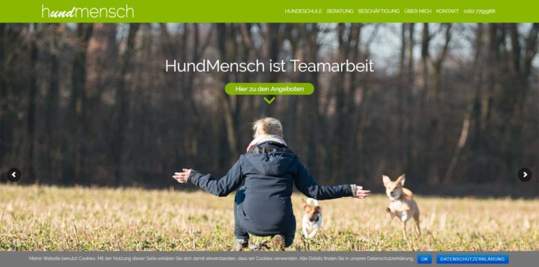 hundmensch ys.de  768x381