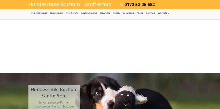 infosanftepfote.de  768x381