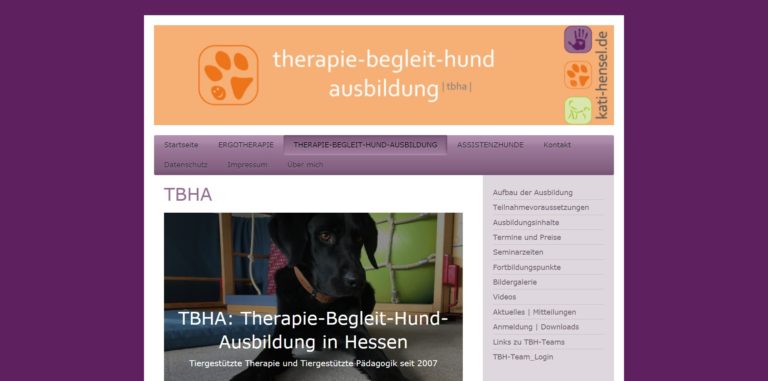 kati hensel.de 768x381