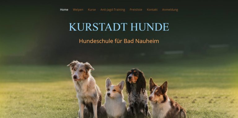kurstadt hunde.de 768x381
