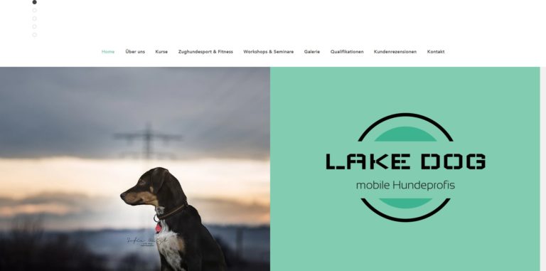 lakedog hundeschule.com  768x381