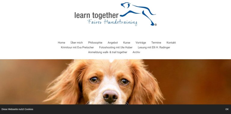 learn together.de  768x381