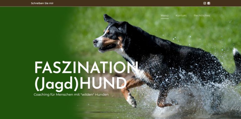 leinenfrei.de 768x381