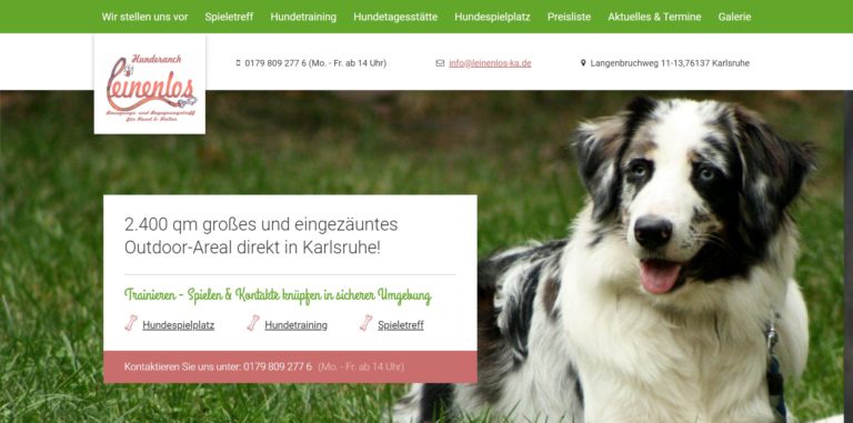 leinenlos ka.de  768x381