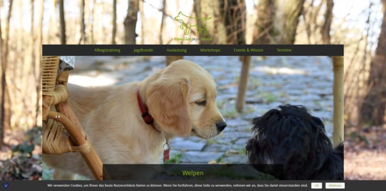 mainzer hundeschule.de  768x381