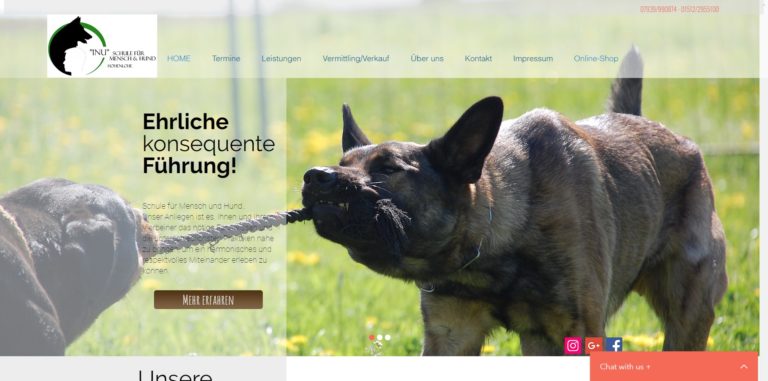 mensch hund hohenlohe.com  768x381