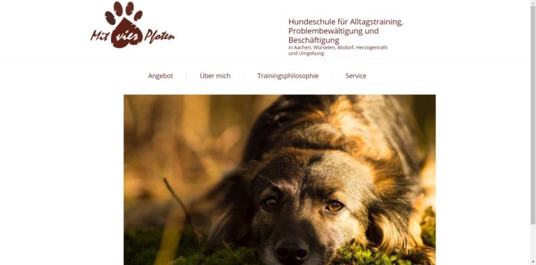 mitvierpfoten.de  768x381