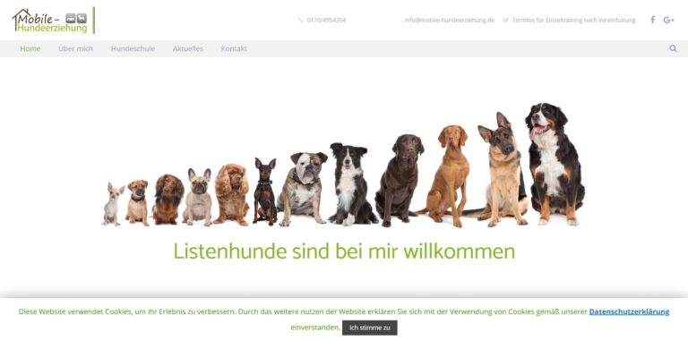 mobile hundeerziehung.de  768x381