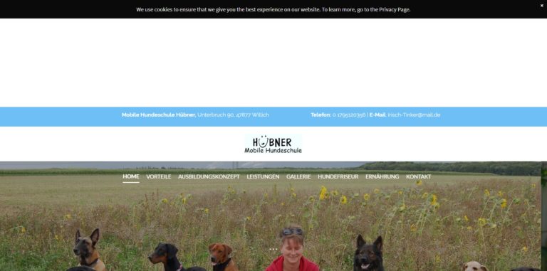 mobile hundeschule huebner.de  768x381