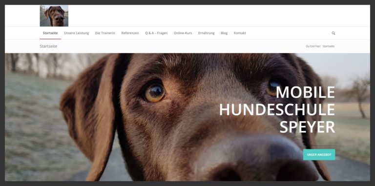 mobile hundeschule speyer.de  768x381