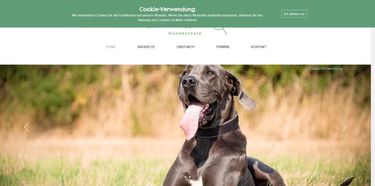 neckar hunde.de 768x381