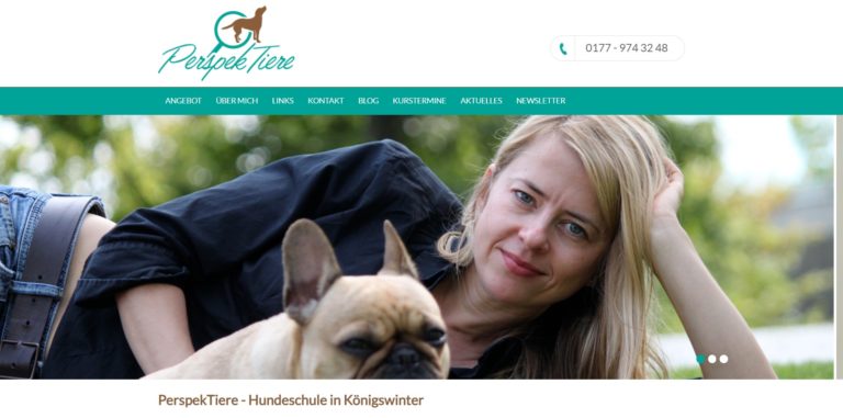 perspektiere.de  768x381