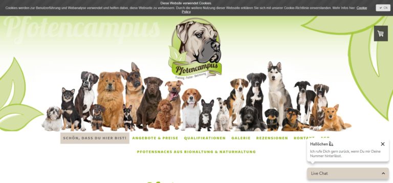 pfotencampus.com  768x357