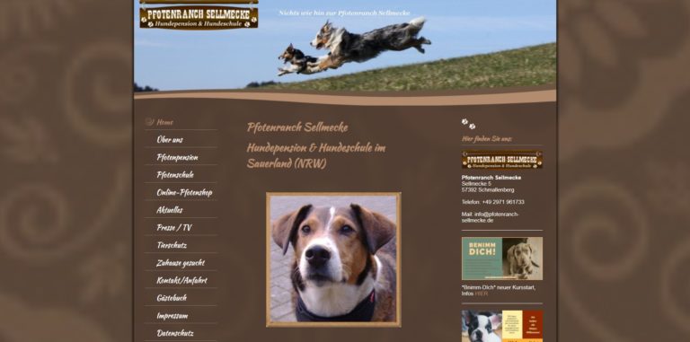 pfotenranch sellmecke.de  768x381