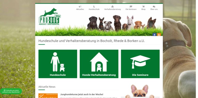 pro dog.nrw  768x381