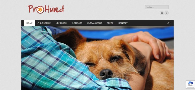 prohund.com  768x357