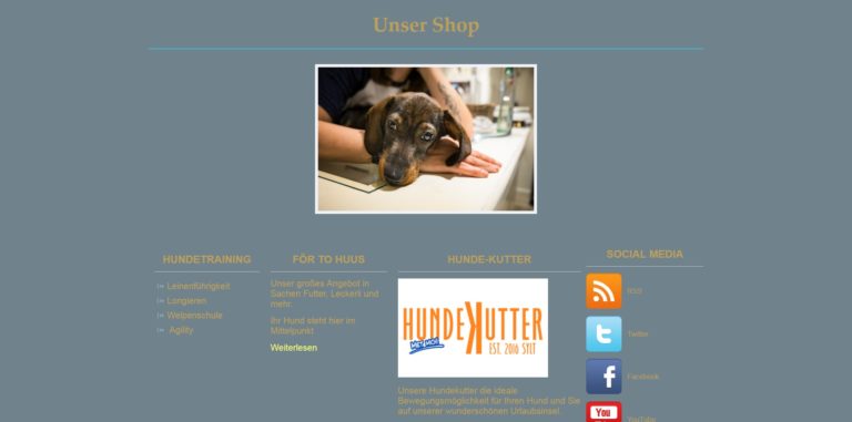 promenadenmischung sylt.de  768x381