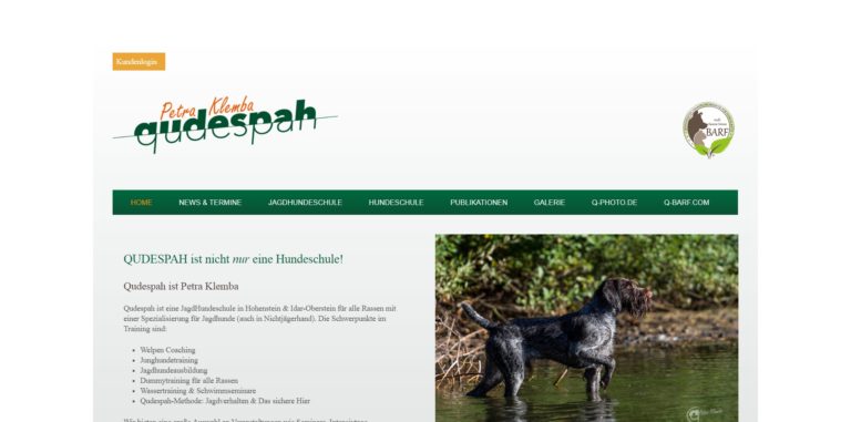 qudespah.com  768x381