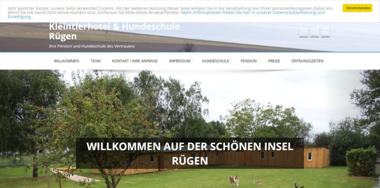 ruegener hundeschule.de  768x381