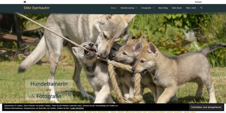silkeeyerkaufer.de  768x386