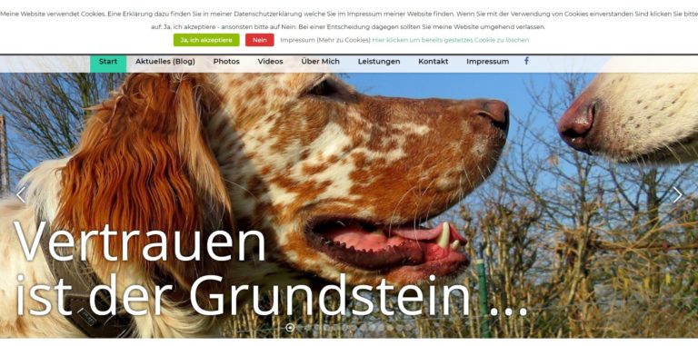 silvis hundeschule.de 768x381
