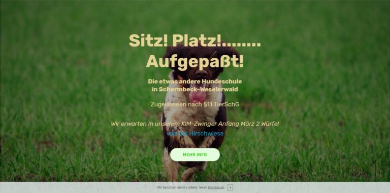 sitzplatzaufgepasst.de 768x381