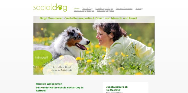 socialdog rottweil.de 768x381