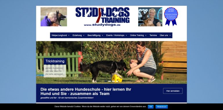 studydogs.de  768x381