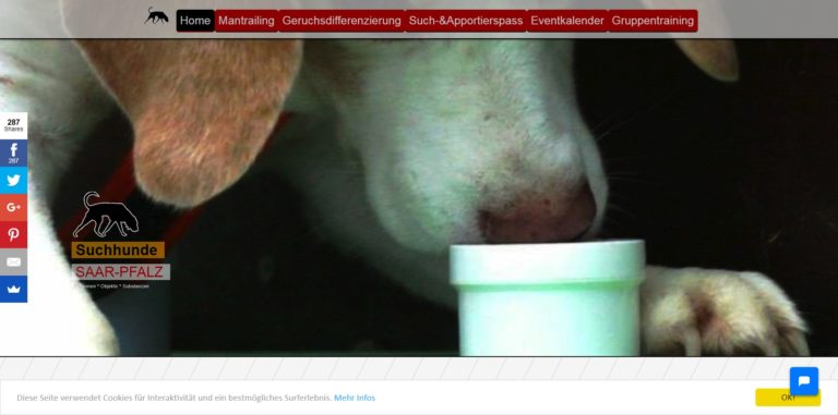 suchhunde saarpfalz.de  768x381