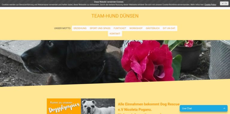 team hund.de 768x381