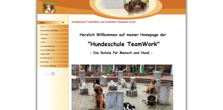 team work hundeschule.de  768x381