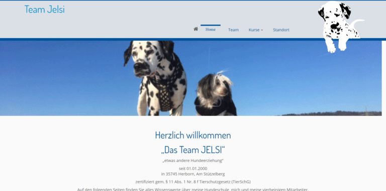 teamjelsi.de  768x381