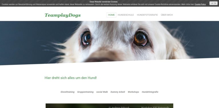 teamplaydogs.de  768x381