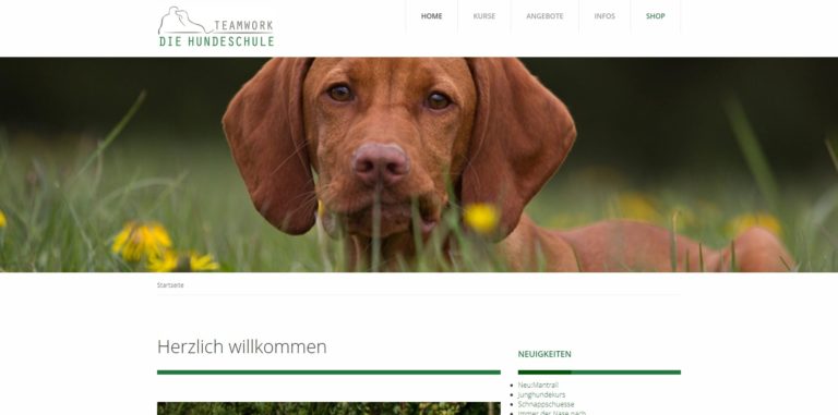 teamwork die hundeschule.de  768x381