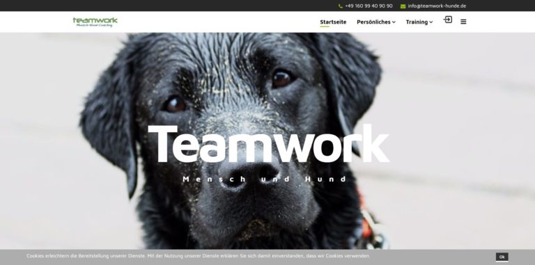 teamwork hunde.de 768x381