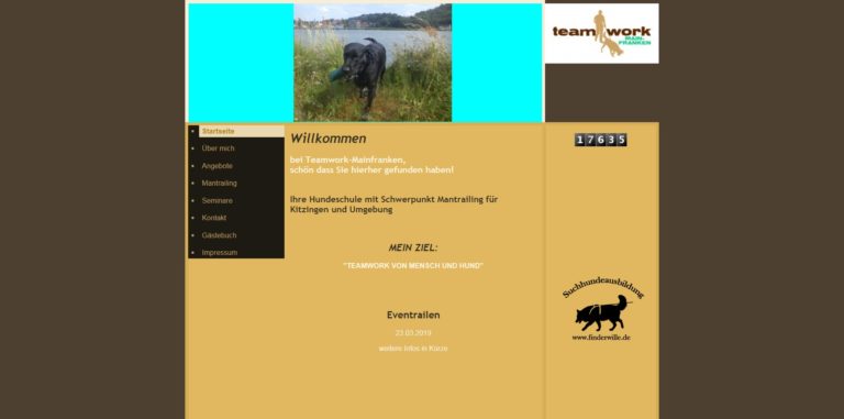 teamwork mfr.de  768x381