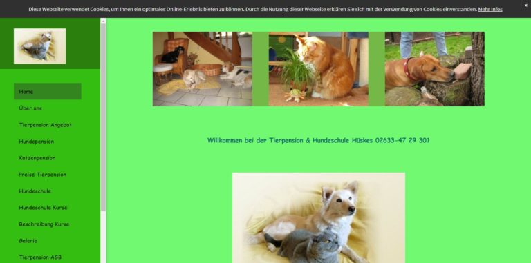 tierpension hueskes.de  768x381