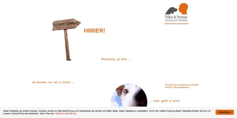 toelenundpartner.com 768x381