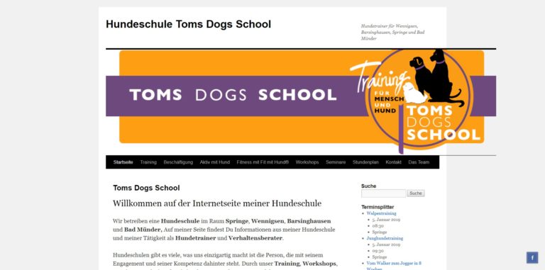 toms dogs school.de  768x381