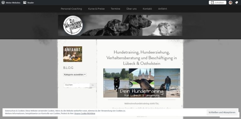 wahnsinnshunde training.com  768x381