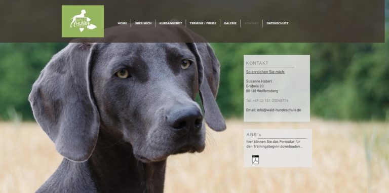 wald hundeschule.de  768x381