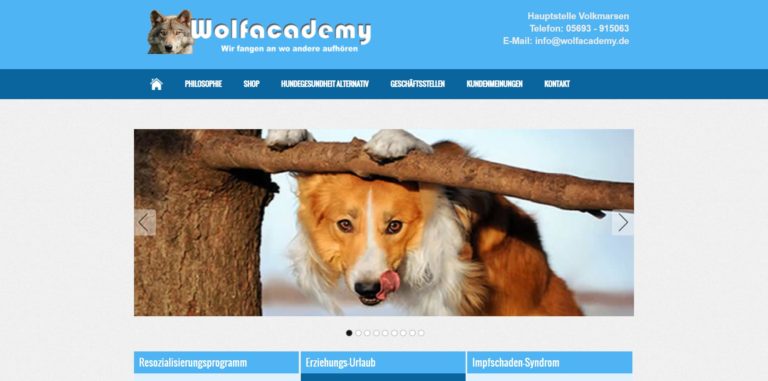 wolfacademy.de  768x381