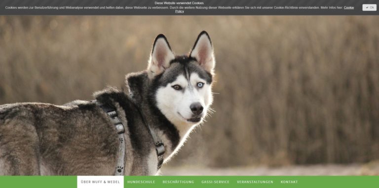 wuffundwedel.de  768x381