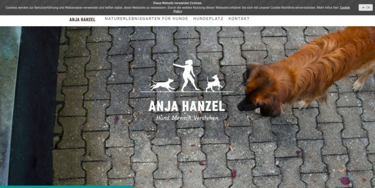 www.anja hanzel.de  768x386