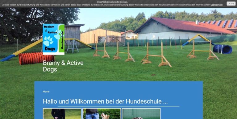 www.brainyandactivedogs.de 768x386