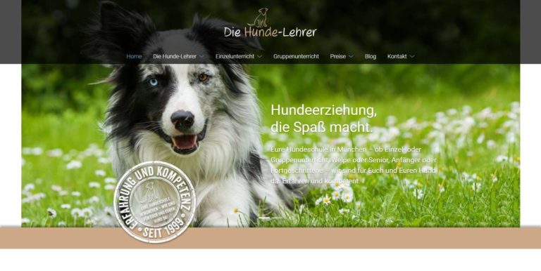 www.die hunde lehrer.de  768x386